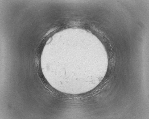 X0000115491206200912181355