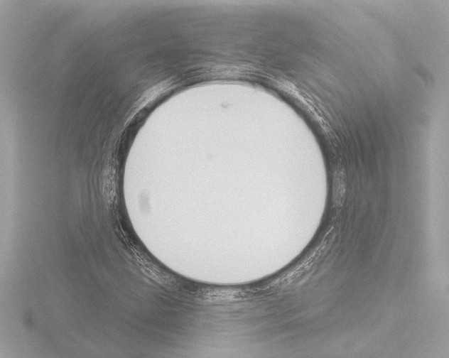 X0000115491211200912181355