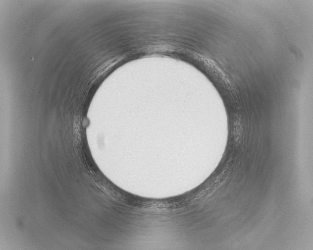 X0000115491217200912181355