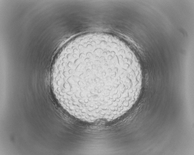 X0000115491220200912181356