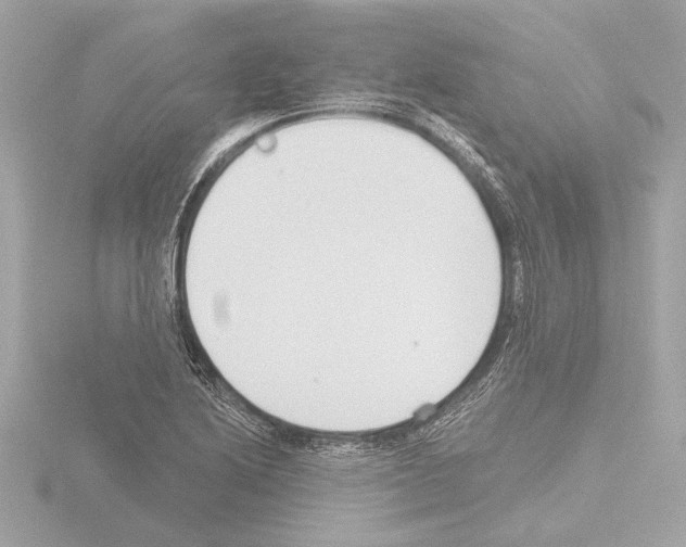 X0000115491222200912181356