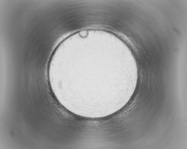 X0000115491230200912181356