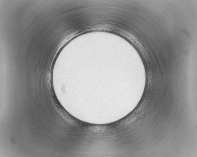 X0000115491234200912181356