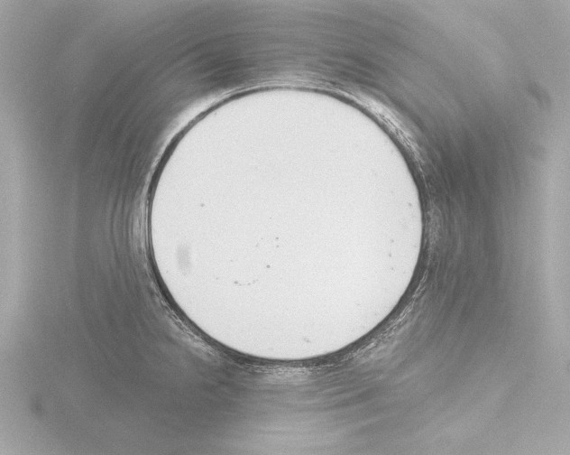 X0000115491238200912181356