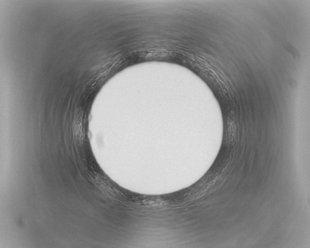X0000115491250200912181355