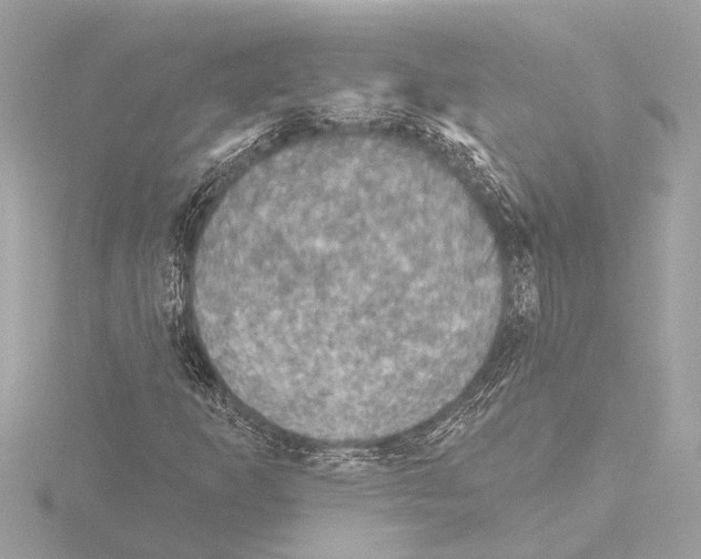 X0000115491253200912181355