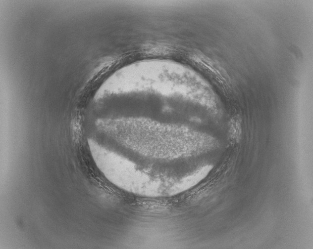 X0000115491254200912181355