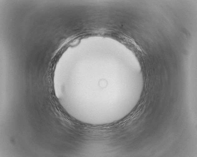 X0000115491256200912181355