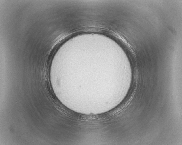 X0000115491259200912181355