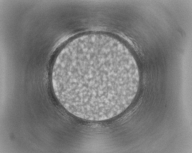 X0000115491263200912181355