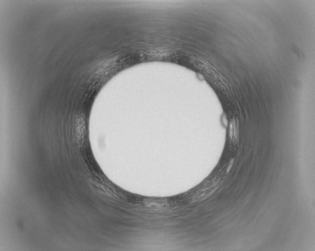 X0000115491299200912181354