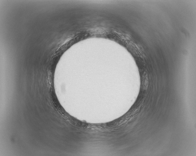 X0000115491301200912181354