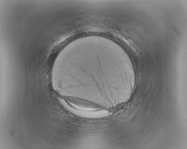 X0000115491303200912181354