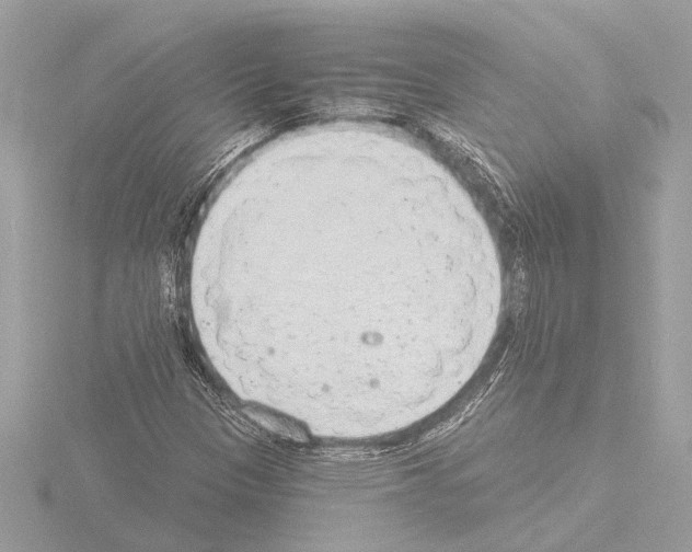 X0000115491305200912181354