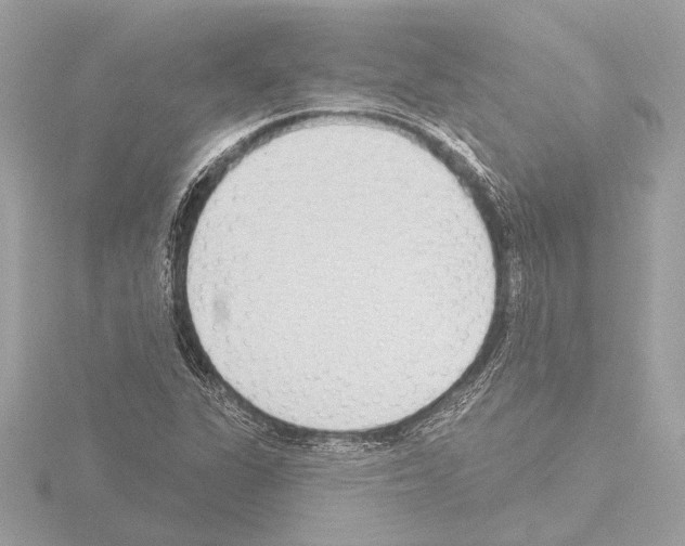 X0000115491311200912181354