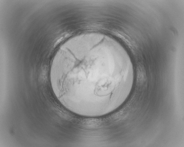 X0000115491314200912181354