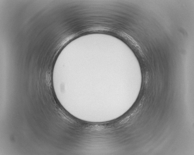 X0000115491321200912181354