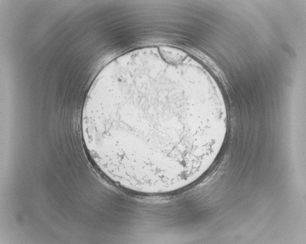 X0000115491337200912181355