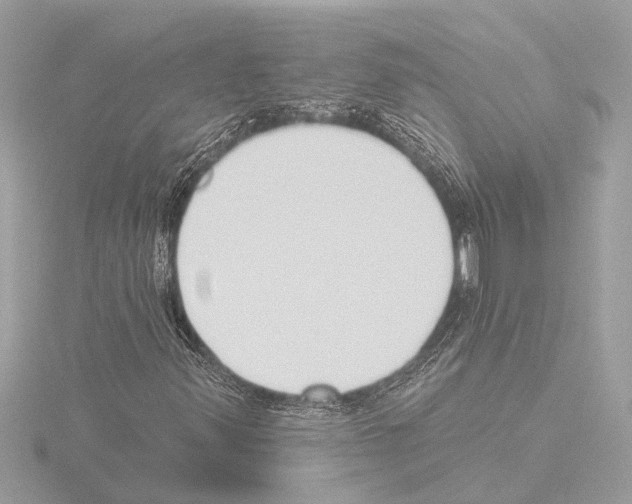 X0000115491347200912181354