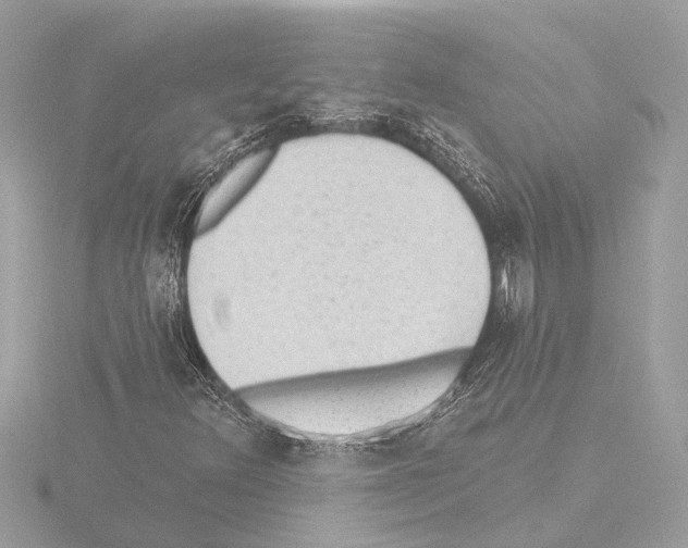 X0000115491348200912181354
