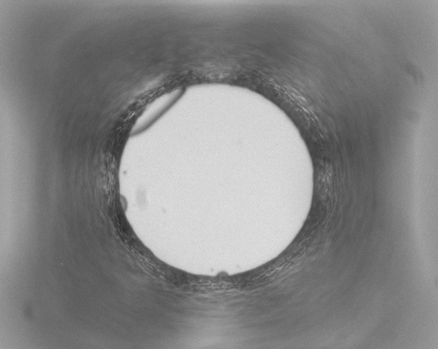 X0000115491349200912181354