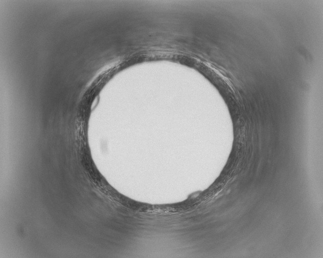 X0000115491351200912181354