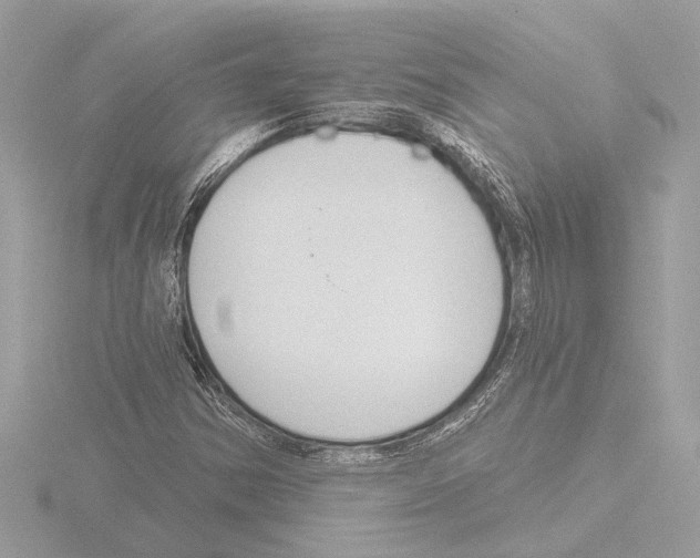 X0000115491354200912181354
