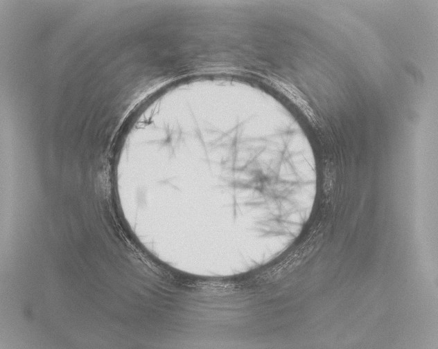 X0000115491356200912181354