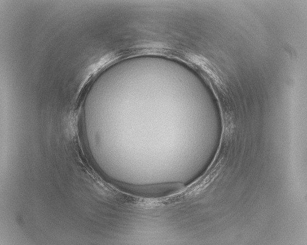 X0000115491357200912181354