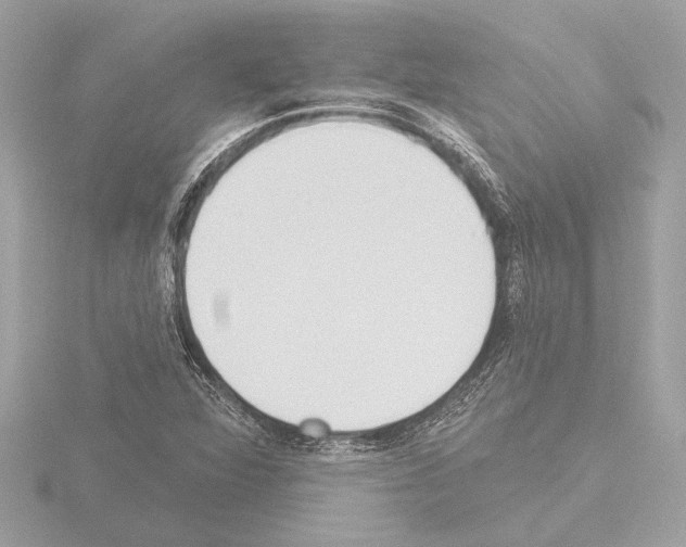 X0000115491360200912181354