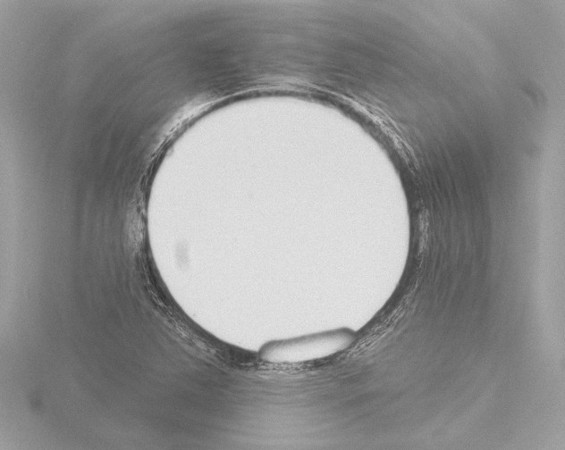 X0000115491363200912181354
