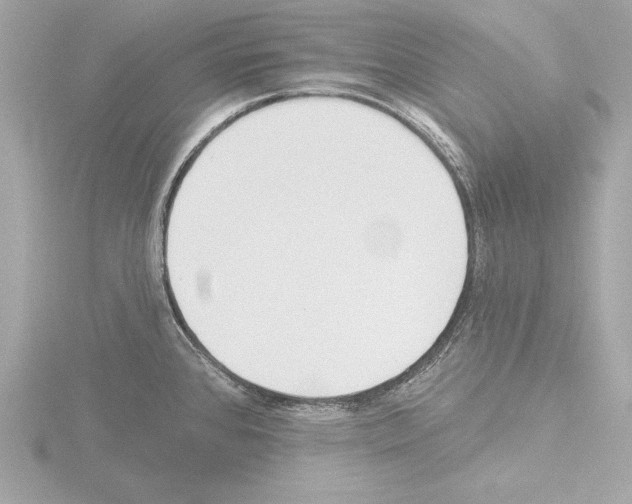 X0000115491384200912181354