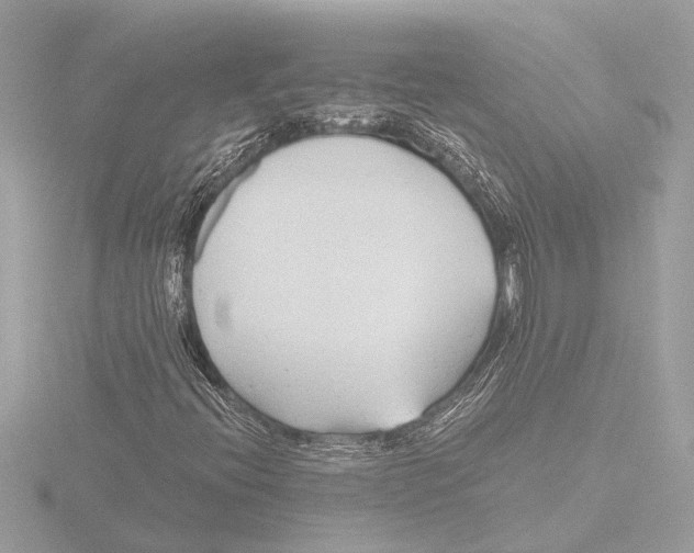 X0000115491396200912181353