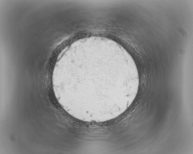 X0000115491398200912181353