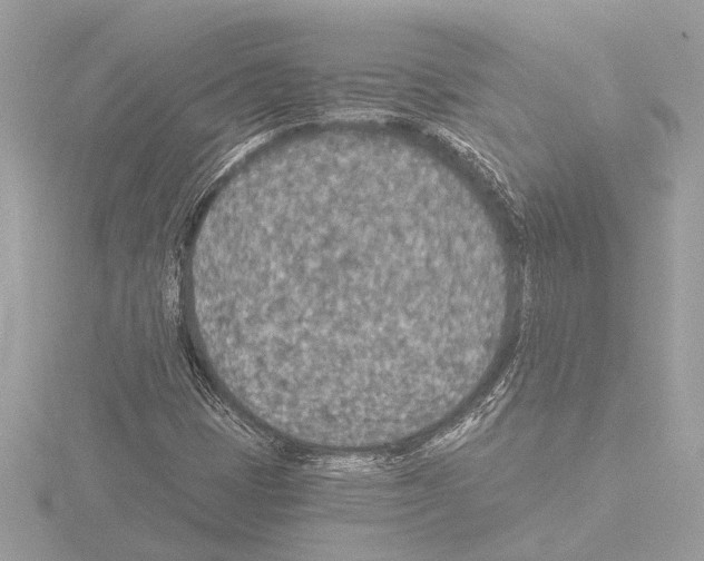 X0000115491401200912181353