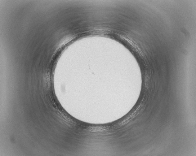 X0000115491402200912181353