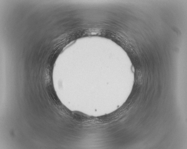 X0000115491442200912181353