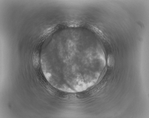 X0000115491444200912181353