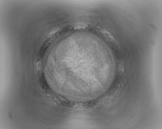 X0000115491445200912181353