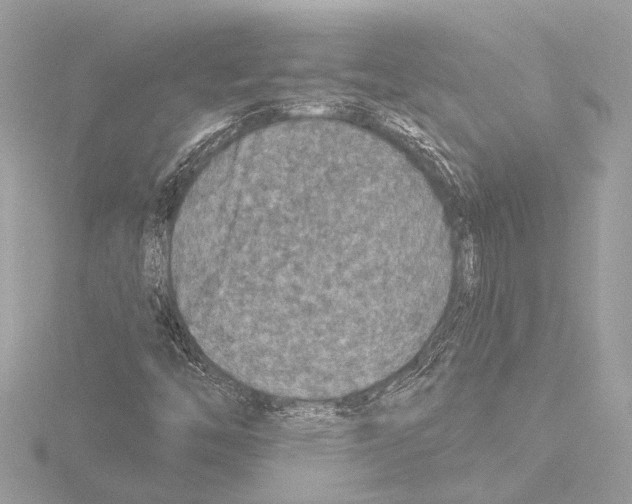 X0000115491446200912181353