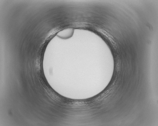 X0000115491451200912181353