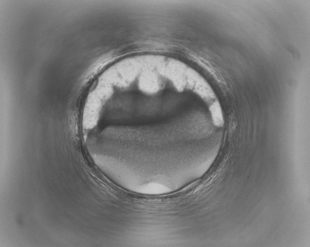 X0000115491455200912181353