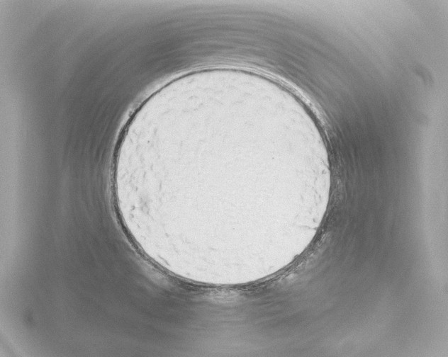 X0000115491525200912181352