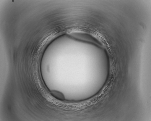 X0000115500001200911061032
