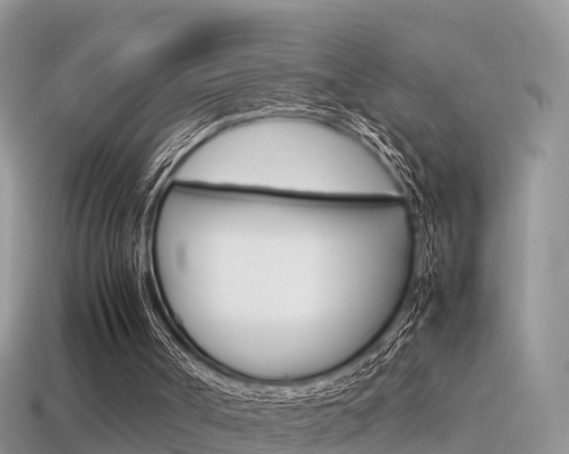 X0000115500002200911061032