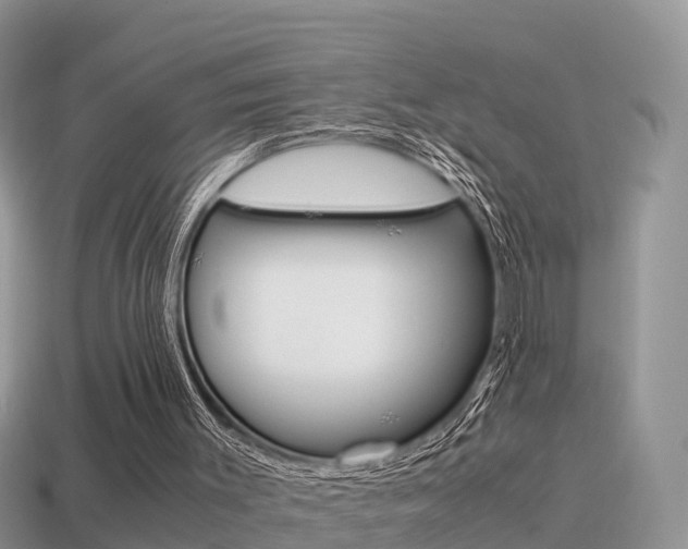 X0000115500003200911061032