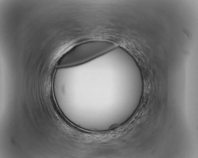 X0000115500005200911061032