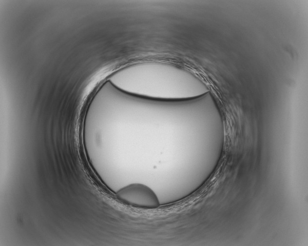 X0000115500006200911061032