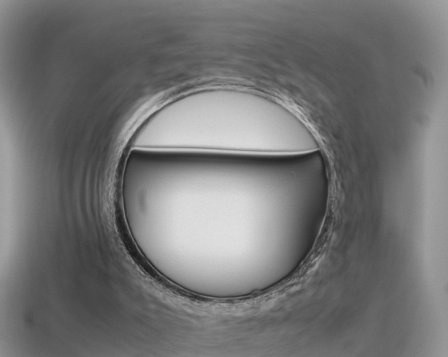 X0000115500007200911061032