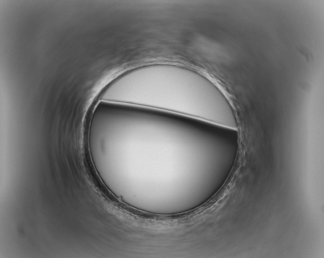 X0000115500008200911061032